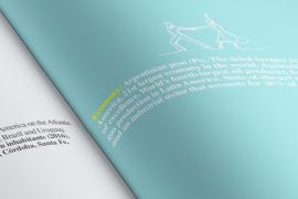 | Want to know everything about Argentina’s market? |